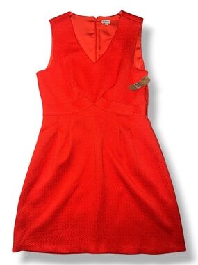 NWT Cremieux V-Neck Dress Size 12